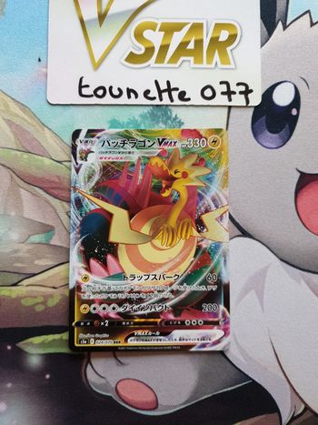 Carte pokémon Galvagon VMAX 024/070