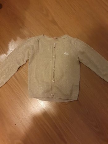 joli gilet de fête 5 ans irise or tao