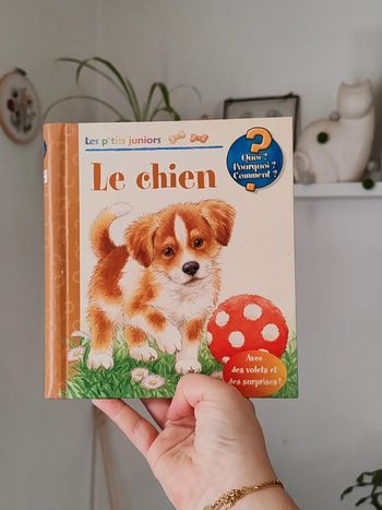 Livre les petits juniors - le chien