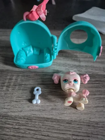 Pet shop