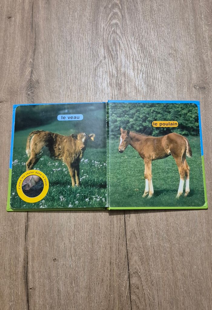 Livre Coucou la poule - photo numéro 8