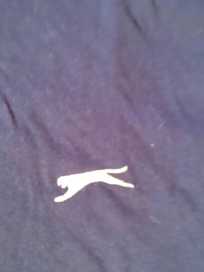 Tee-shirt sport - photo numéro 3