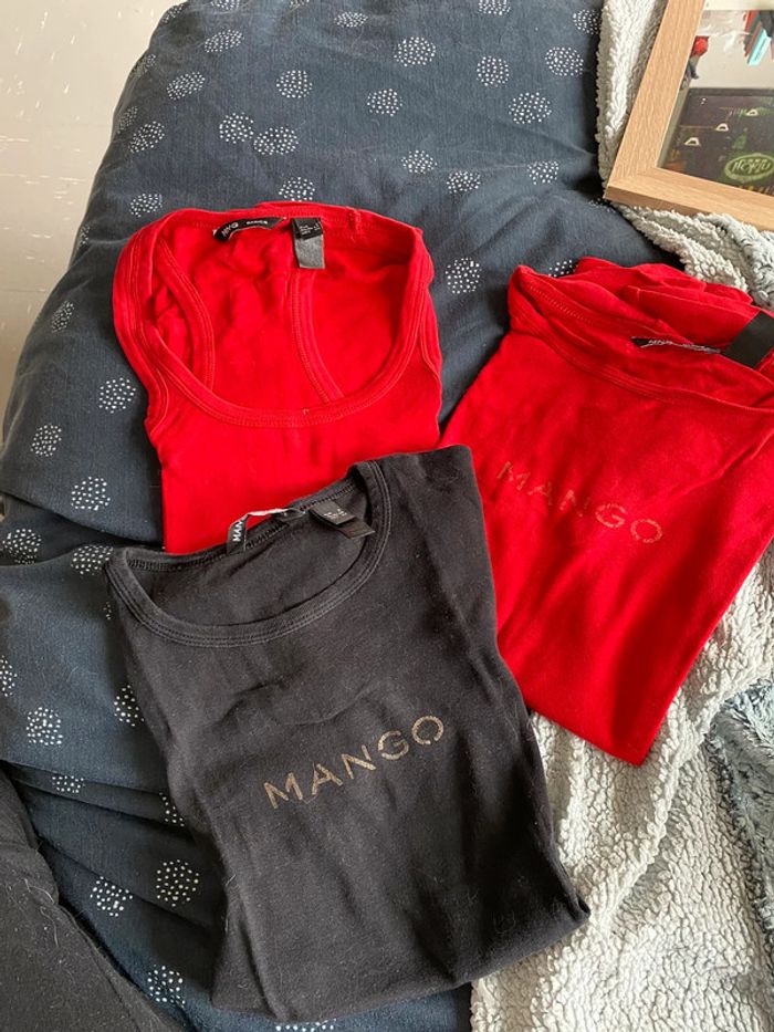 Lot 3 hauts mango