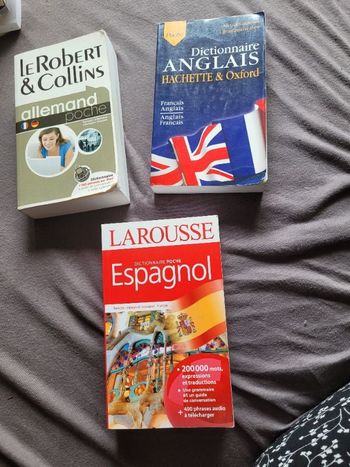 Dictionnaires de poche Allemand anglais et espagnol