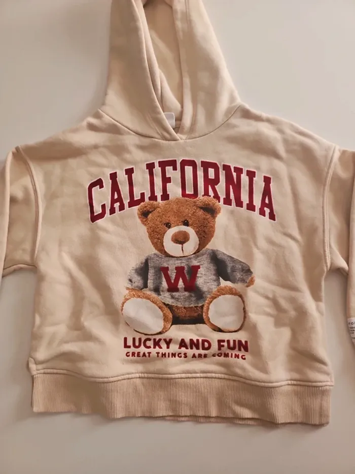 Sweat à capuche Zara