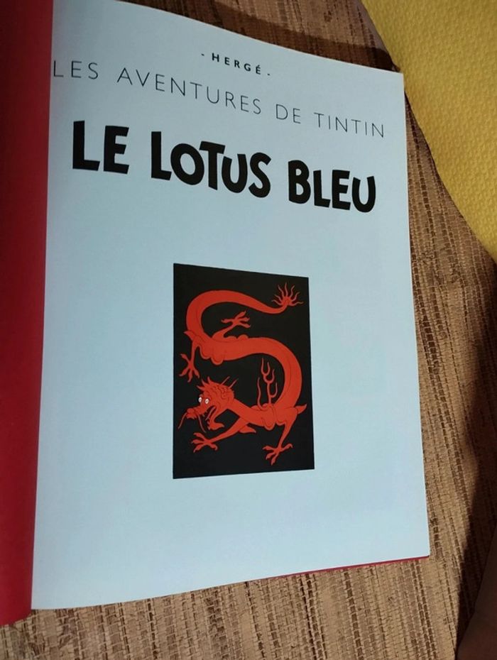 Les aventures de Tintin club France loisirs 2007 Casterman - photo numéro 5