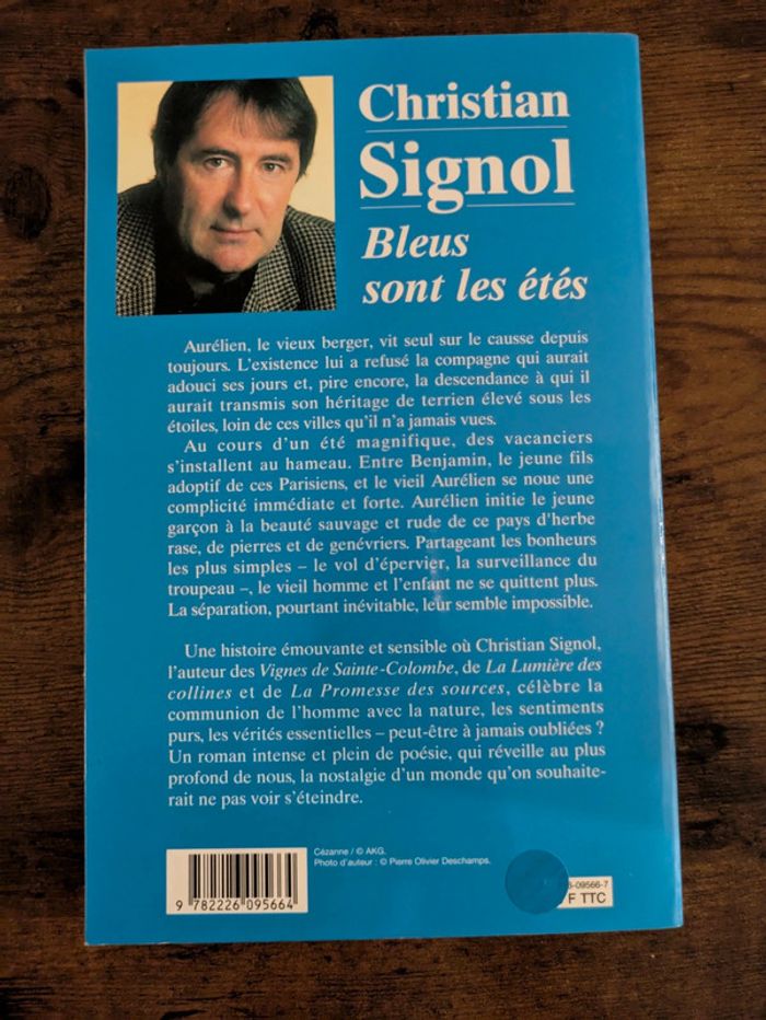 Bleus sont les étés - photo numéro 2