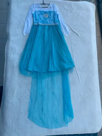 Déguisement Elsa reine des neiges carnaval fête