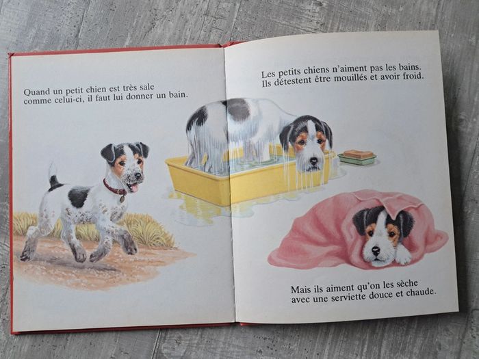 Livre Les petits chiens sont comme ça - photo numéro 2