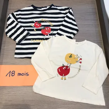Lot 2 Teeshirt ML 18 mois 🦊