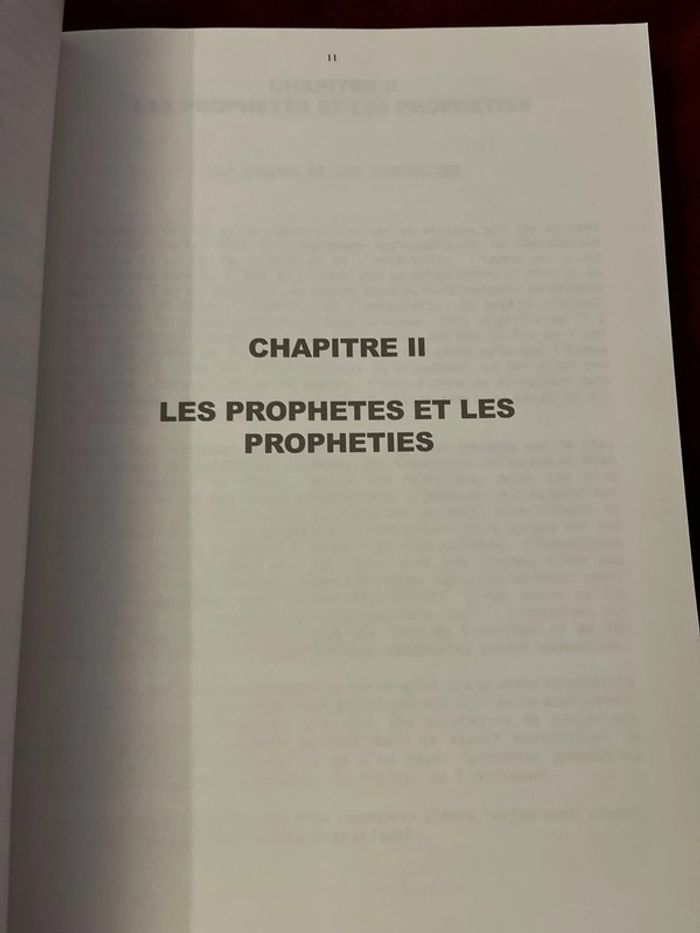 Introuvable sur Vinted et épuisé en librairie ! Livre ésotérique - photo numéro 6