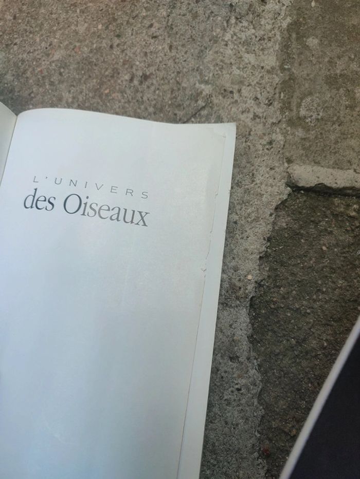Livre l'univers des oiseaux - photo numéro 7
