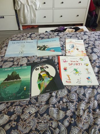 Lot de livre grande section de maternelle
