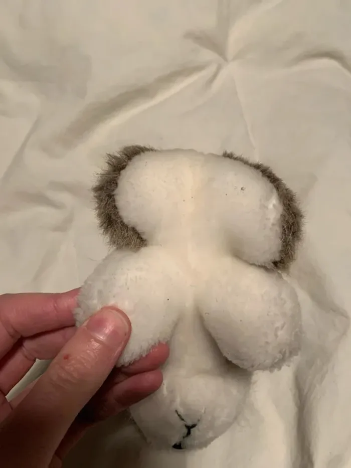Peluche chien - photo numéro 5