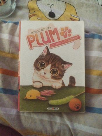 Plum un amour de chat 1
