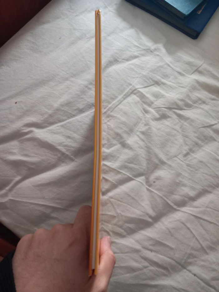 Alerte sur Ooxia - photo numéro 4