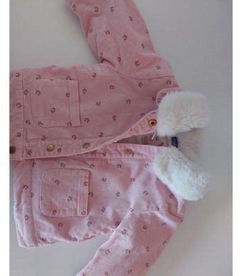 Veste