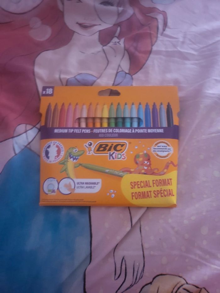 Feutres bic x18