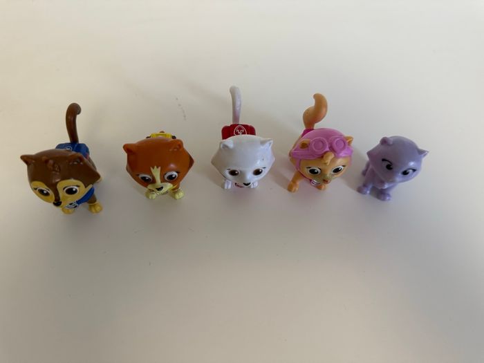 Chatons Monsieur hellinger pat patrouille - photo numéro 2