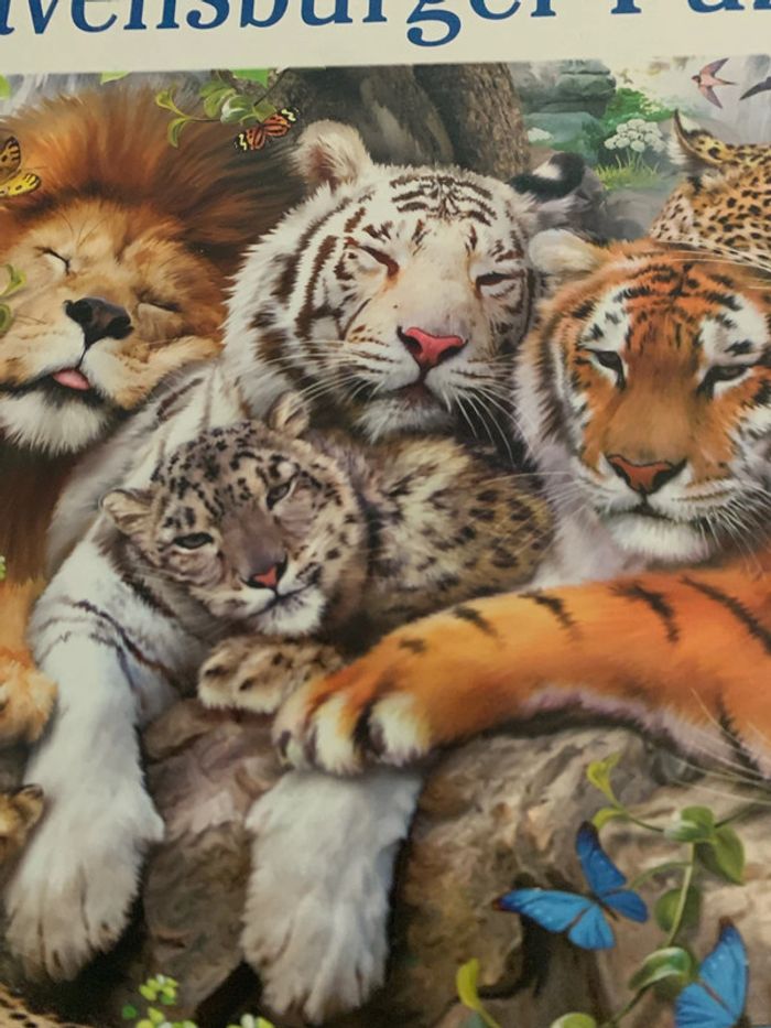 Puzzle Ravensburger la sieste des félins - photo numéro 4