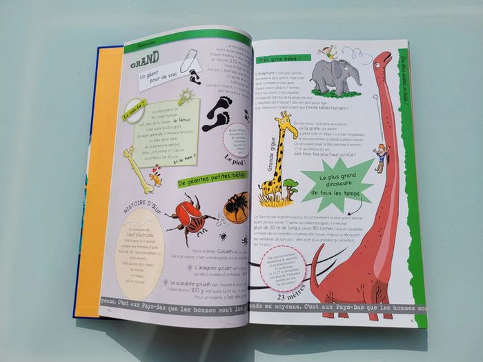 Grand livre Le Larousse des Records, couverture mousse - photo numéro 5