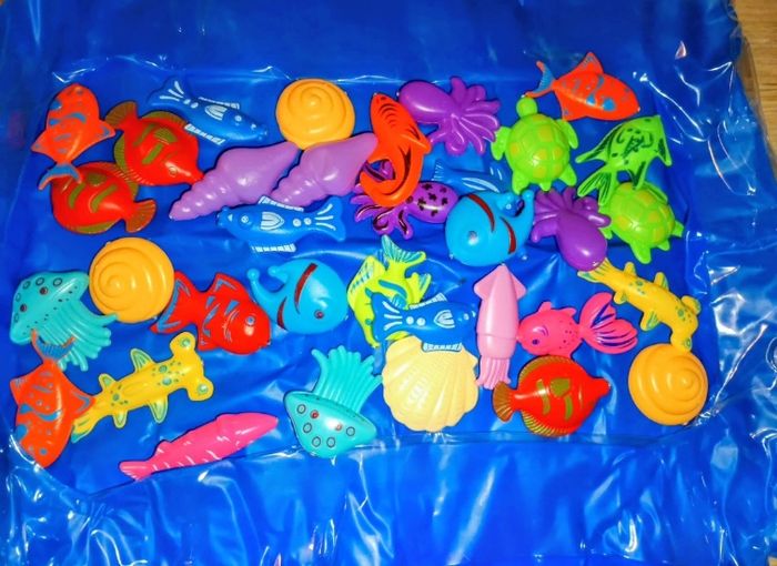 Pêche aimant - photo numéro 4