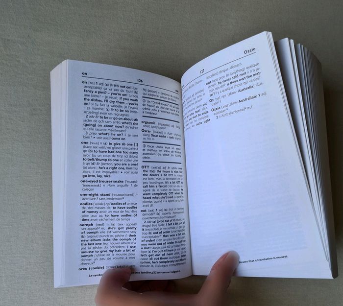 Livre Harrap's Slang dictionnaire d'argot - photo numéro 6