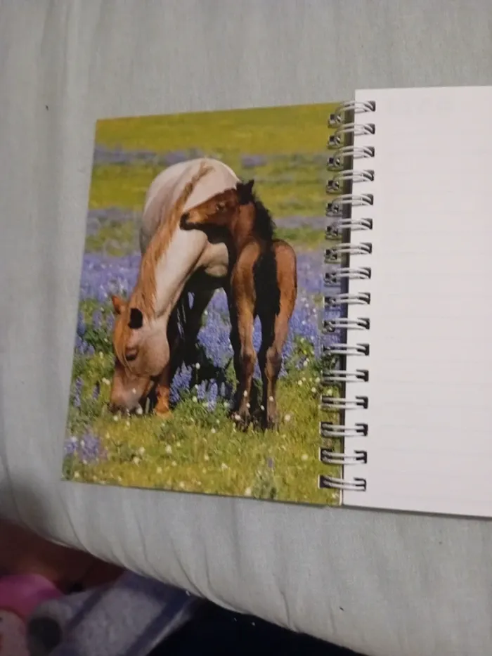 Carnet d'adresse - photo numéro 2