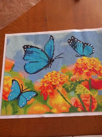 Diamond painting 30x40 fait