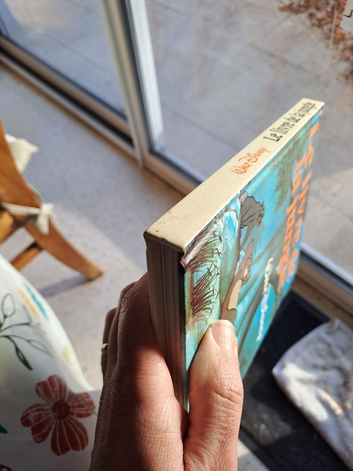 Le livre de la jungle - photo numéro 6