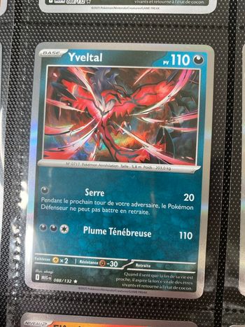 Carte Pokémon holographique neuf