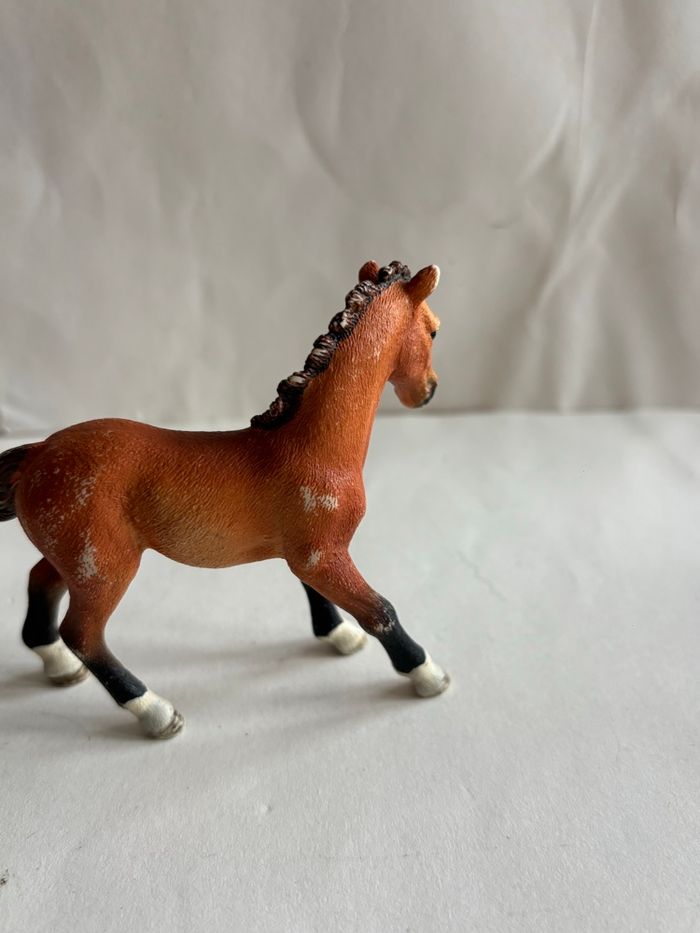 Poulain Schleich - photo numéro 3