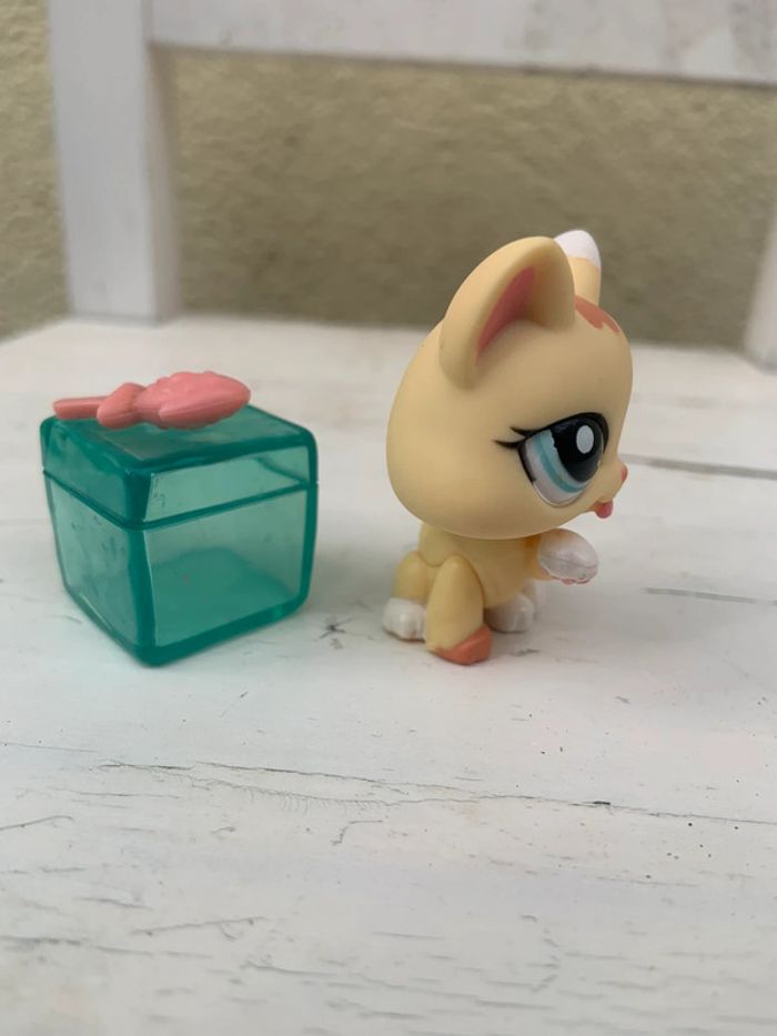 🔝 Littlest Pet Shop #1821 - photo numéro 5
