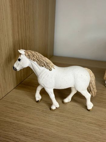 Ponette gallois schleich