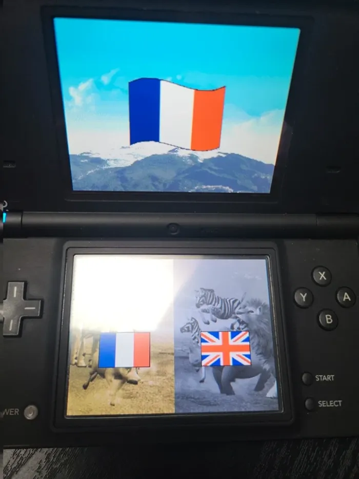 Jeux DS - photo numéro 4