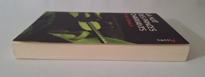 Livre fiction contemporaine - photo numéro 3