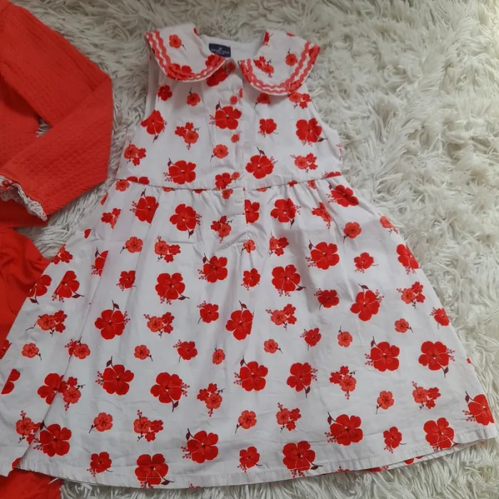 Lot sgmj - photo numéro 2