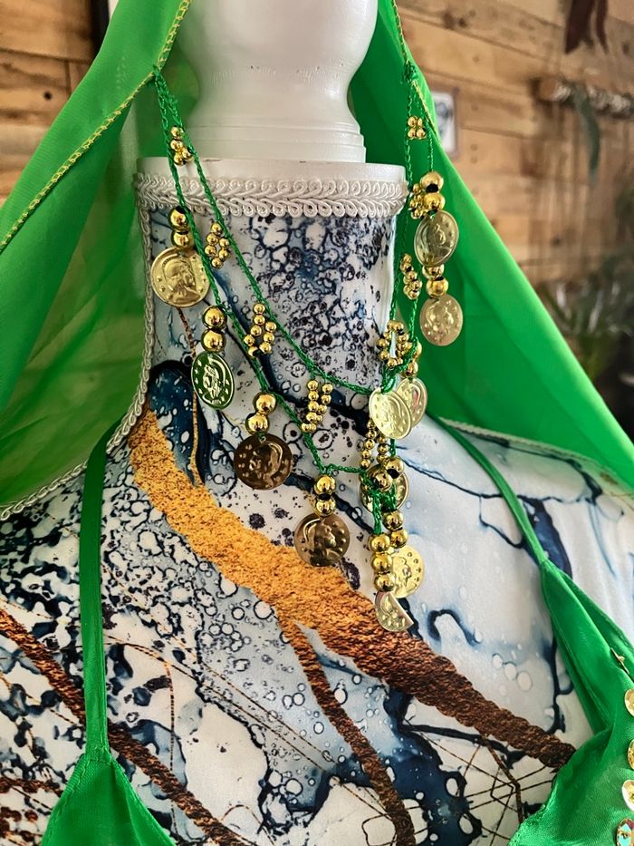 Tenue indou carnavalesque - photo numéro 6