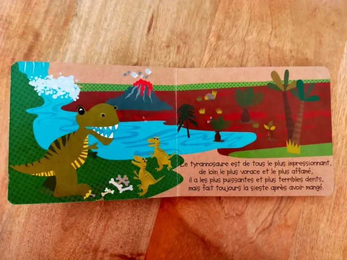 Livre cartonné : les dinosaures 🦕 - photo numéro 3