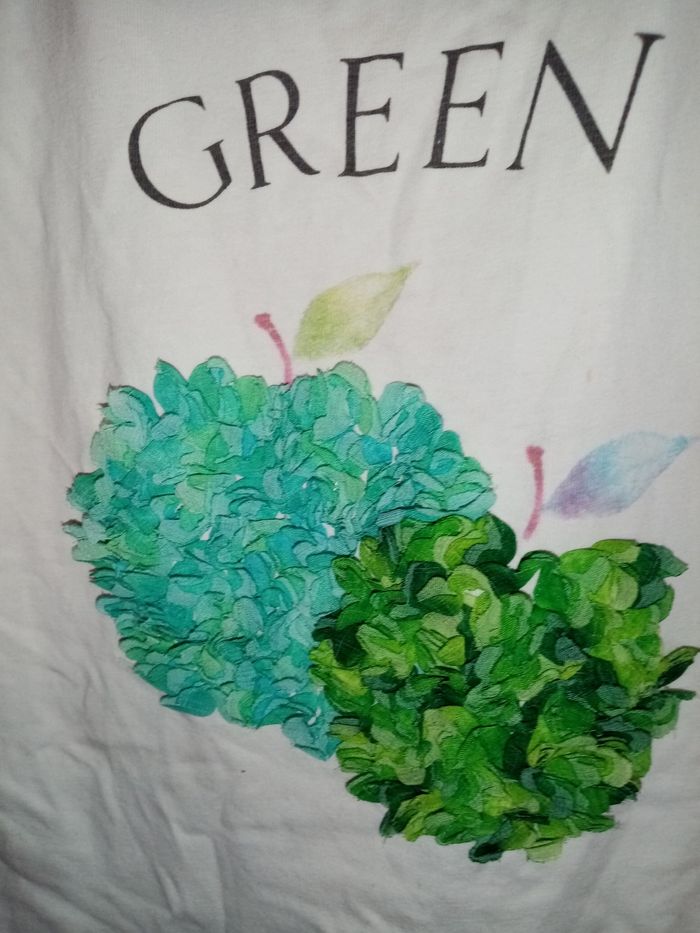 5 ans zara tee-shirts avec pommes en relief /Excellent état - photo numéro 7