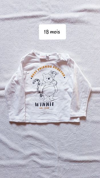 T-shirt Disney 18 mois