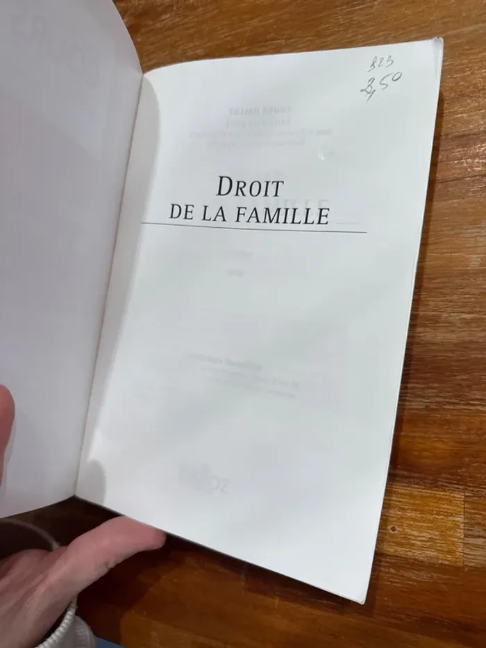Livre droit de la famille - photo numéro 4