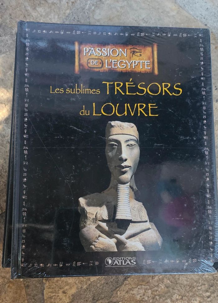 🪷livre les sublimes trésors du louvre