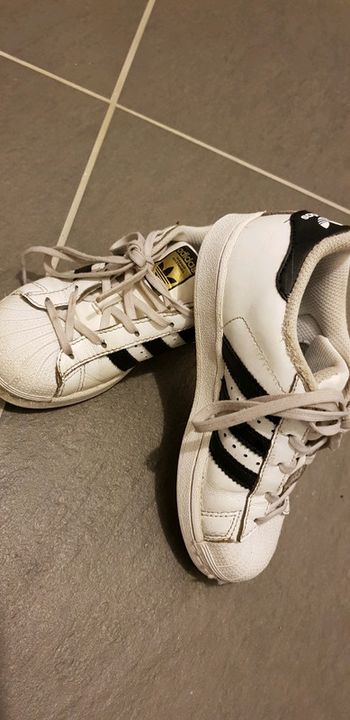 Basket  superstar pointure 31