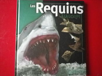 LES REQUINS