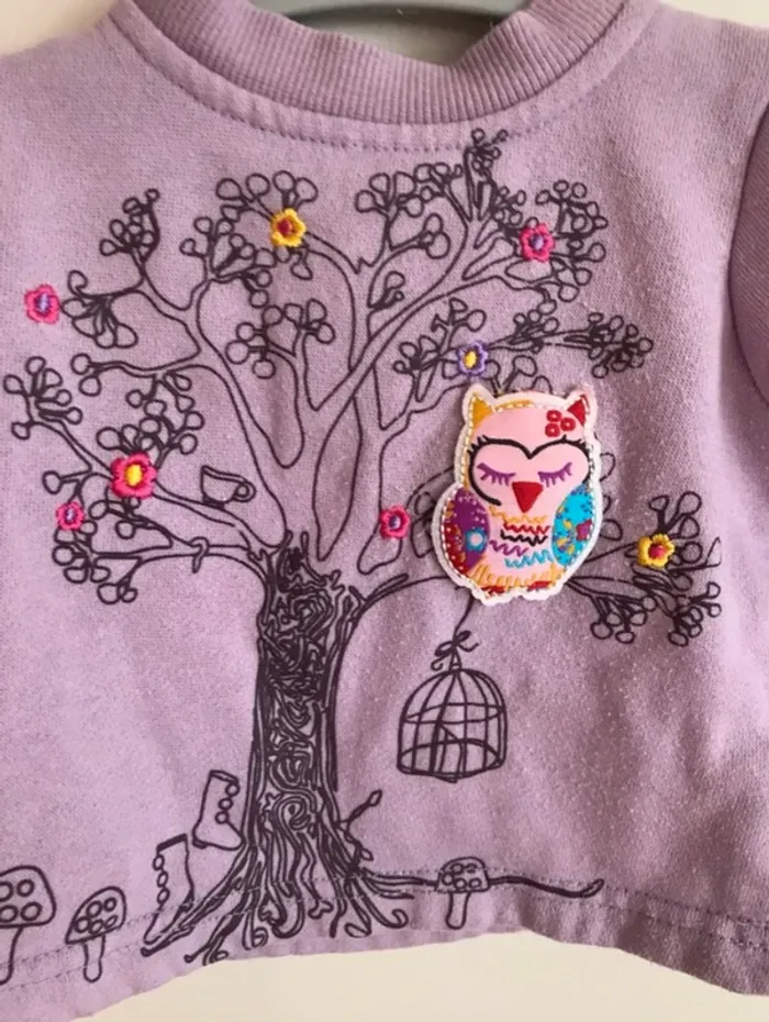 Sweat-shirt hibou 3 mois très bon état - photo numéro 3