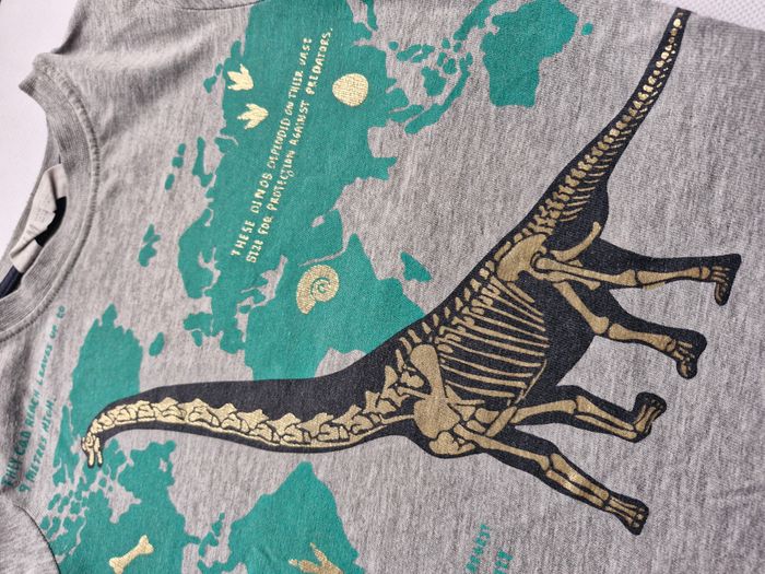T-shirts manches courtes 2/4 ans H&M Gris chiné Squelette de dinosaure Brachiosaure carte du monde - photo numéro 7