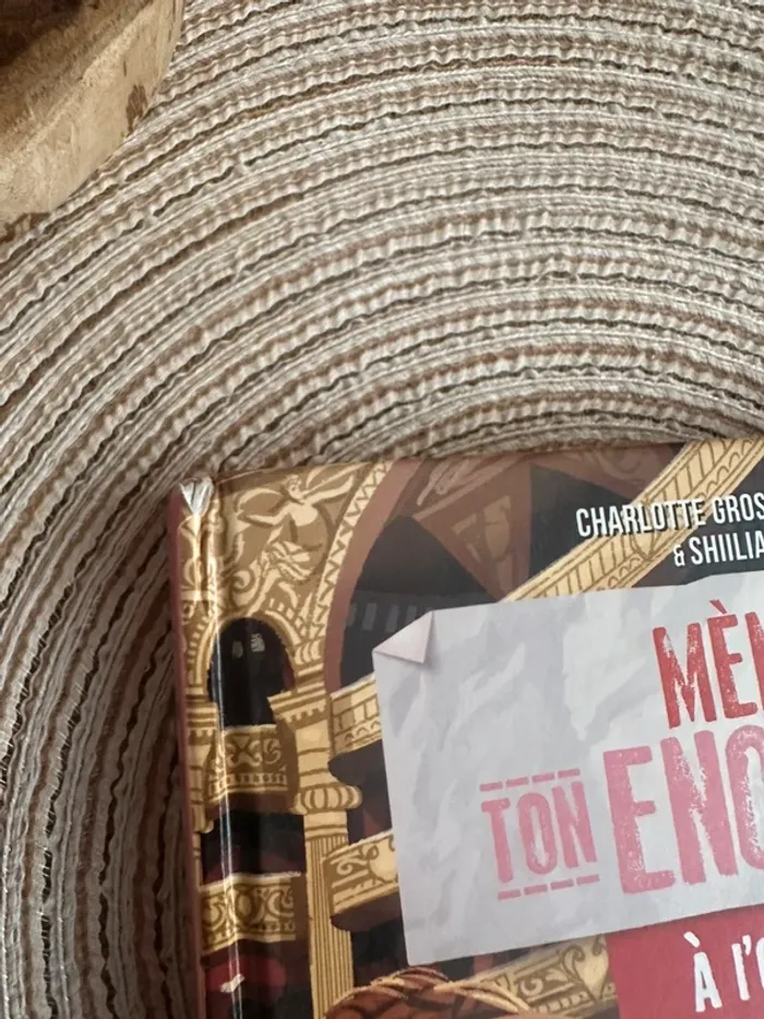 Livre Mène Ton Enquête - photo numéro 9