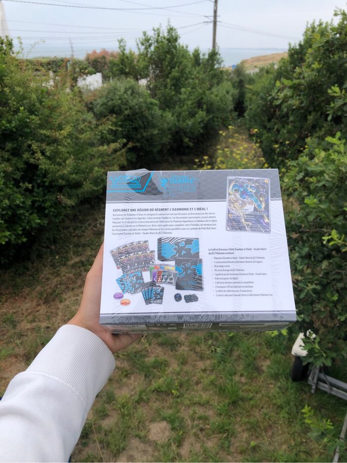 ETB Pokémon ev10.5 foudre noir - photo numéro 3