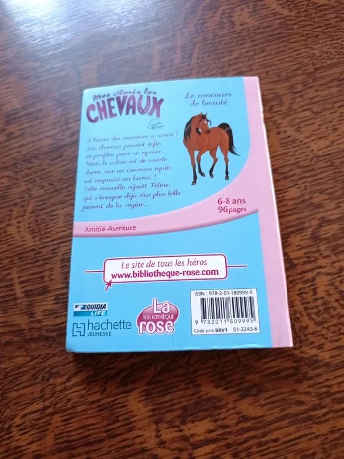 Mes amis les chevaux 10 - photo numéro 2